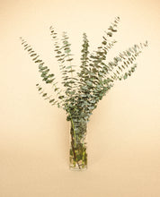 Load image into Gallery viewer, Eucalyptus Bouquet